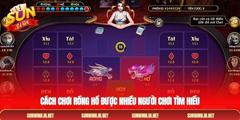 Cách chơi rồng hổ được nhiều người chơi tìm hiểu