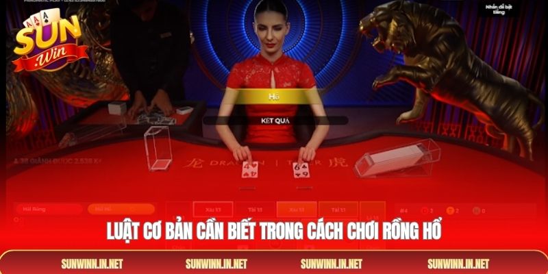 Luật cơ bản cần biết trong cách chơi rồng hổ