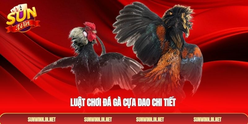 Luật chơi đá gà cựa dao chi tiết 