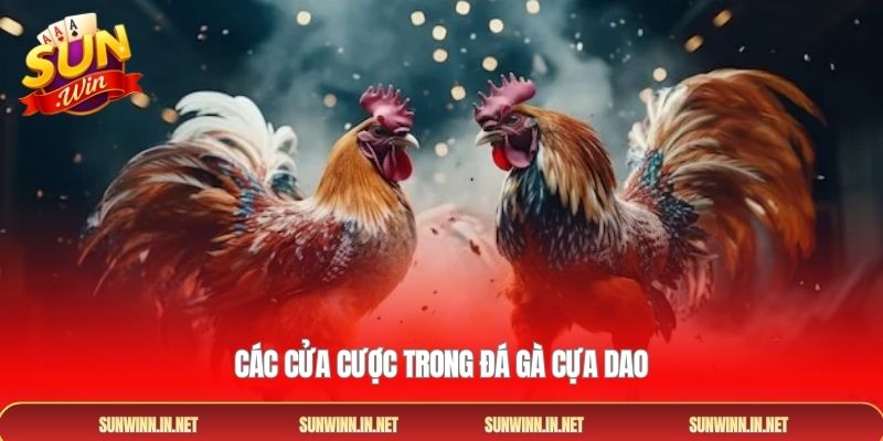 Các cửa cược trong đá gà cựa dao