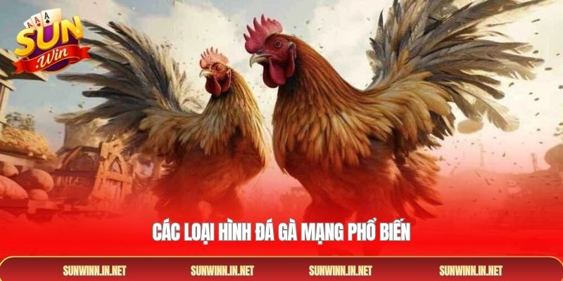 Các loại hình đá gà mạng phổ biến